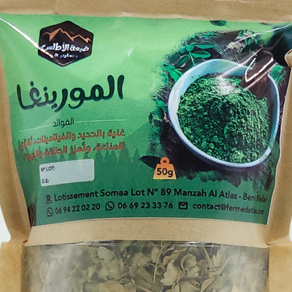 Moringa - Image 2